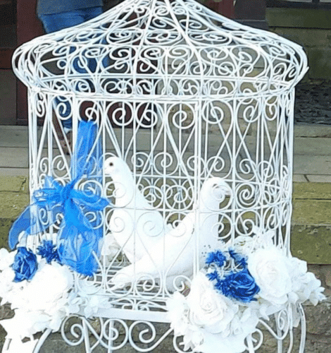 DOVE RELEASE FOR CELEBRATIONS (2)