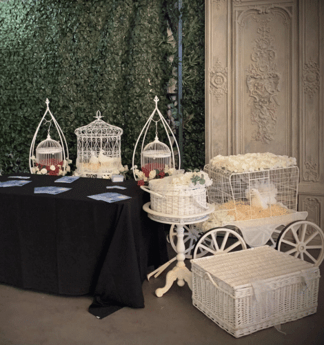 Dove Release by Dutton Doves