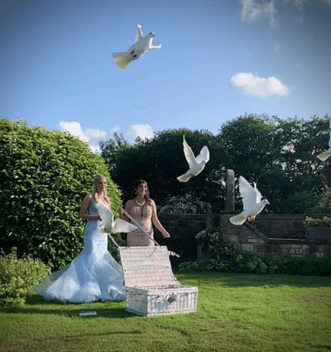 Dove Release by Dutton Doves