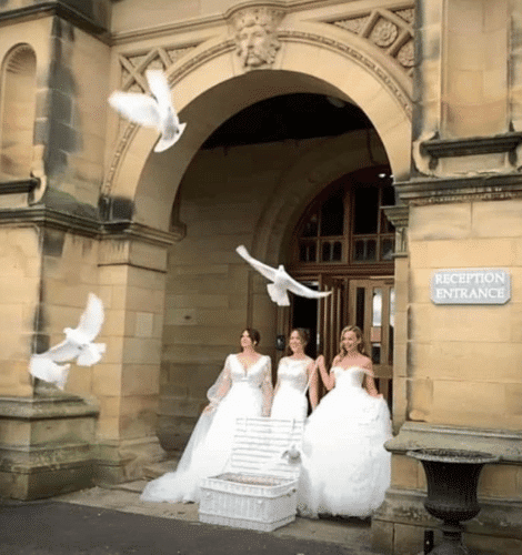 Dove Release by Dutton Doves