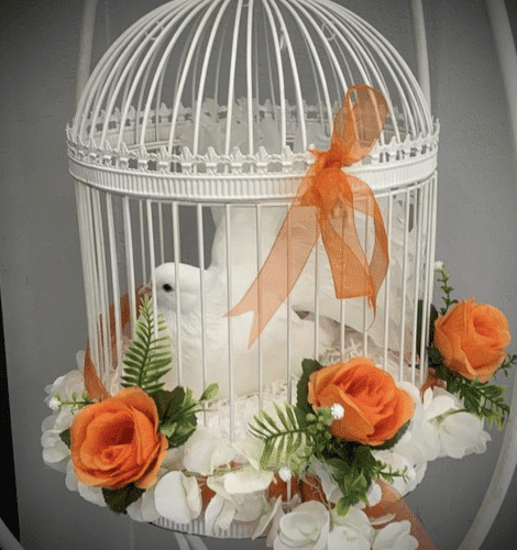 Funeral Dove Release (3)